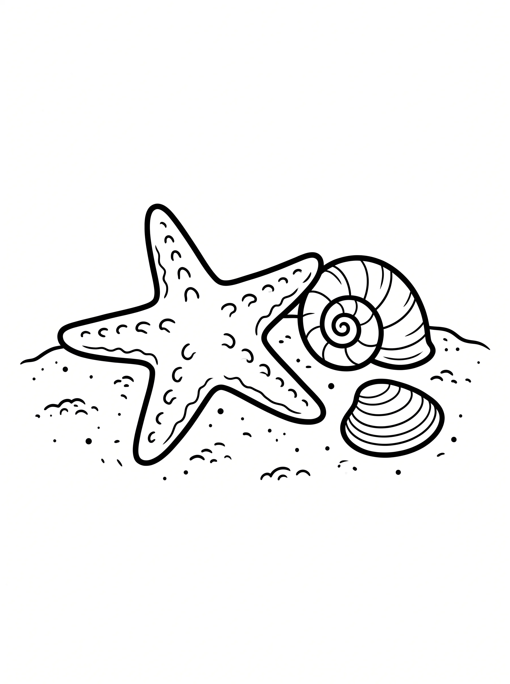 Seashell Treasure Trio on Sand