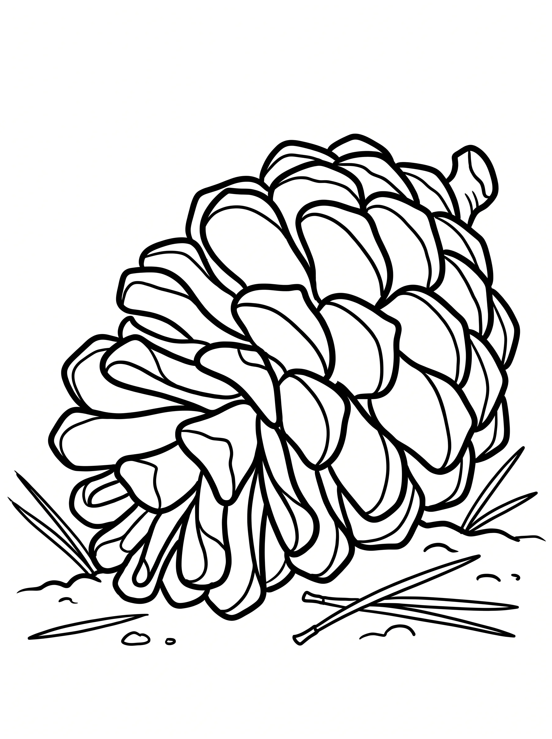 Large Pinecone with Thick Scales
