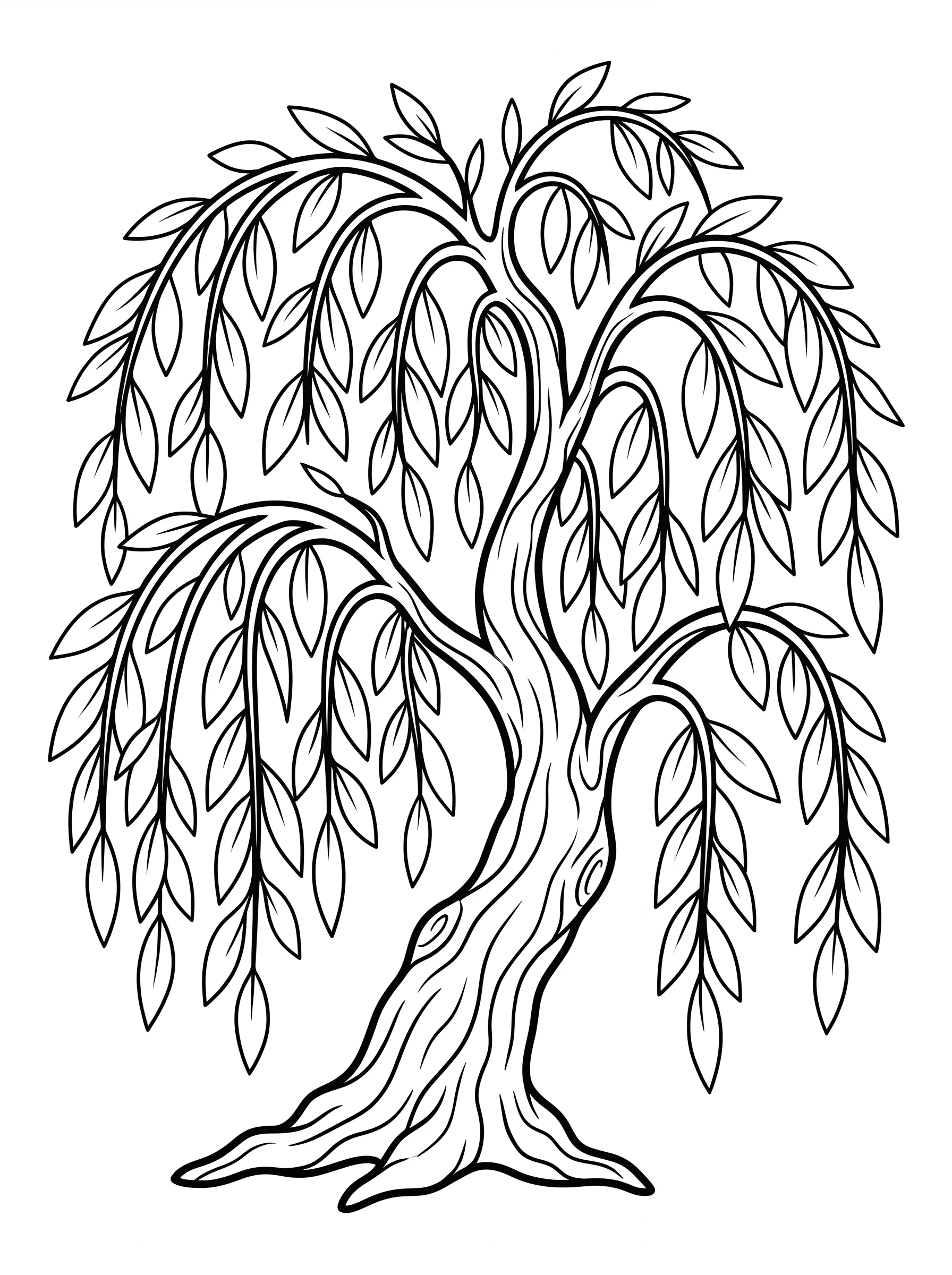 Weeping Willow Tree with Drooping Leaves